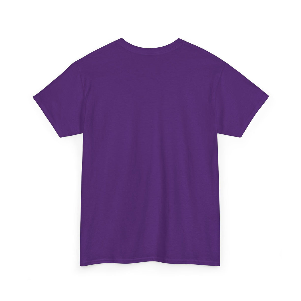 Halloween Raccoon Ghost Pumpkin T‑Shirt — Cute Spooky Costume Trio Tee